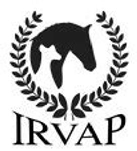 Black horse head silhouette with laurel wreath and IRVAP text.