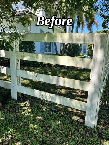 This is a fence with green algae and dirt on it. It’s a fence for one of our clients in Wellington.