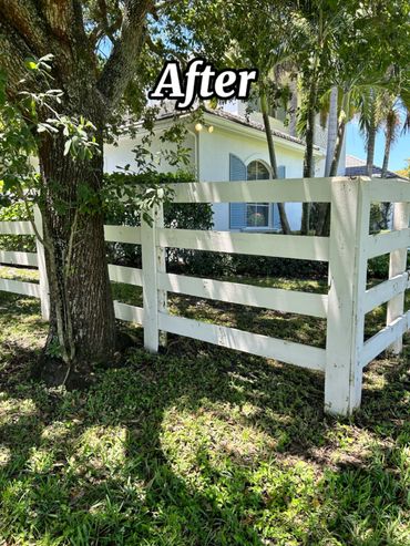 This is the fence after we pressure cleaned it. All the algae is gone and the client can now enoy it