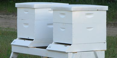 Indiana honey  bees for sale  Bee Hives for sale Resources and supplies