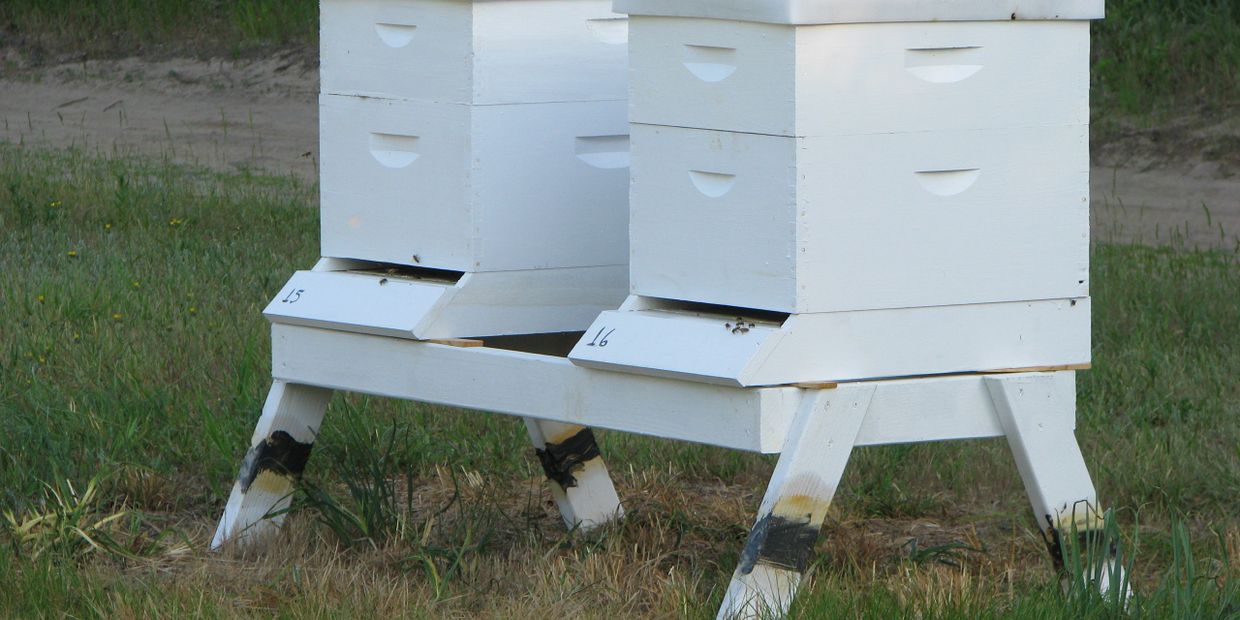 Illiana Beekeepers Alliance member bee hives