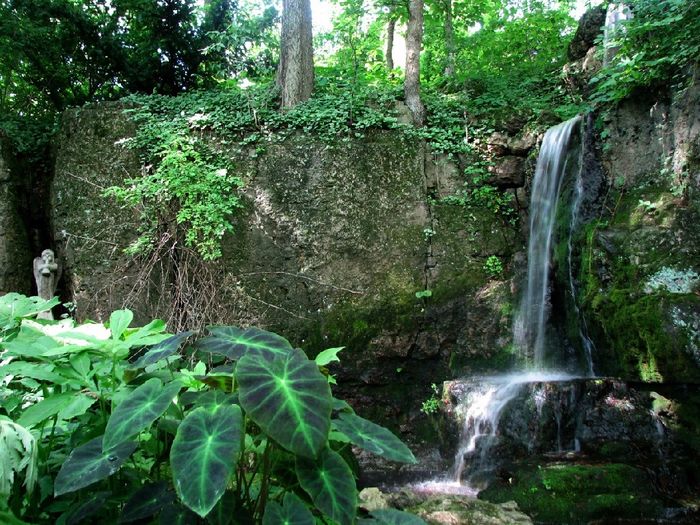 Our beautiful waterfall!