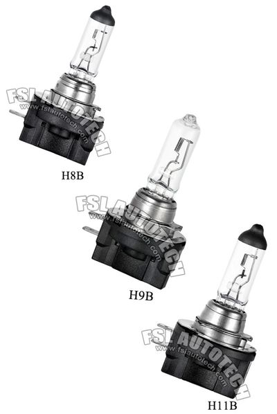 H8B H9B H11B International Standard Halogen Light Lamps Auto Bulbs for Car
