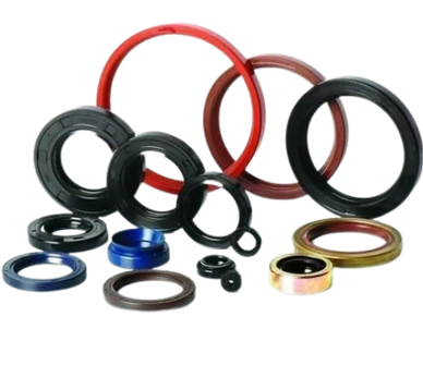 Oil Seals