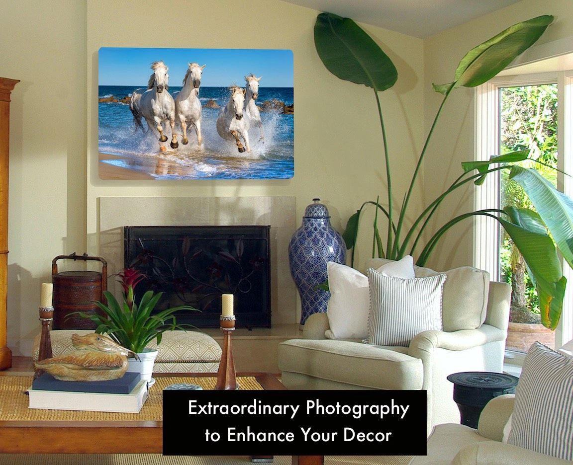 Cozy living room with horse beach photography enhancing the decor.