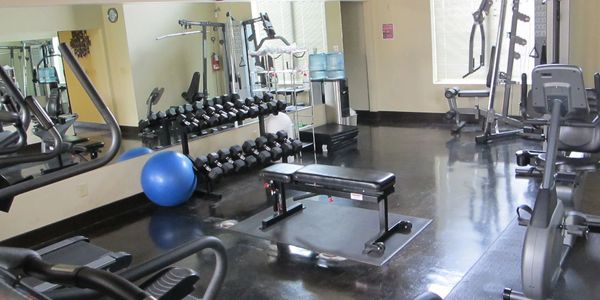 A bright gym with various workout machines and free weights.