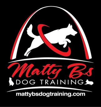 Matty B's Dog Training
