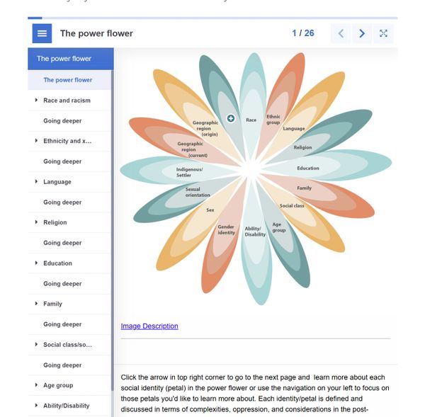 Diagram of the power flower illustrating social identities as petals.