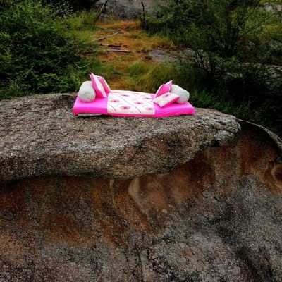 Our Glamping at The Bagheera Bagh Jawai ;
Unique experience close to Nature ;
- located close to Ja