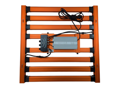 Lady Bug Lighting oracle 680 watt grow light hydroponic Australia's best!