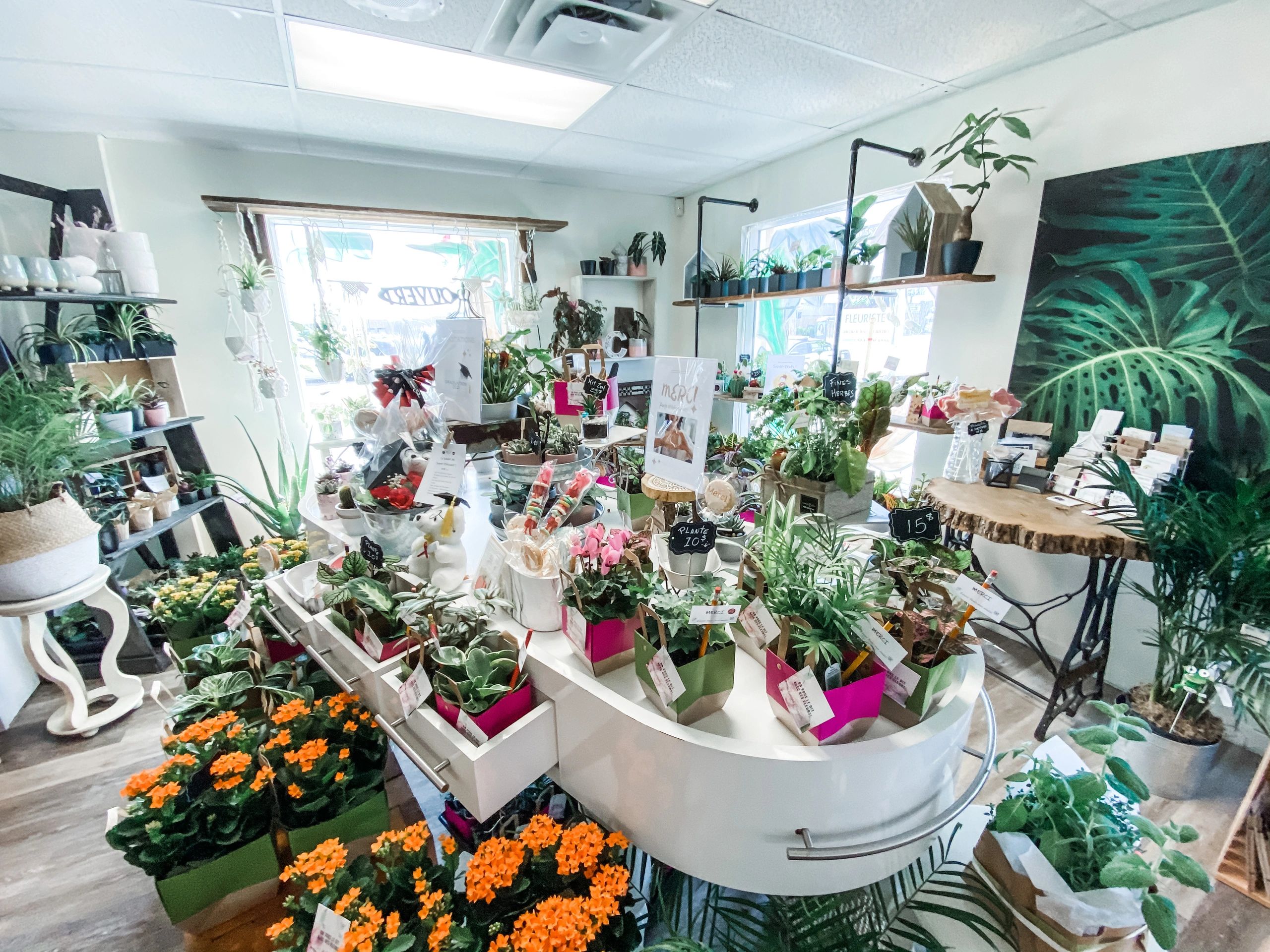 Intérieur de boutique Fleuriste C Design