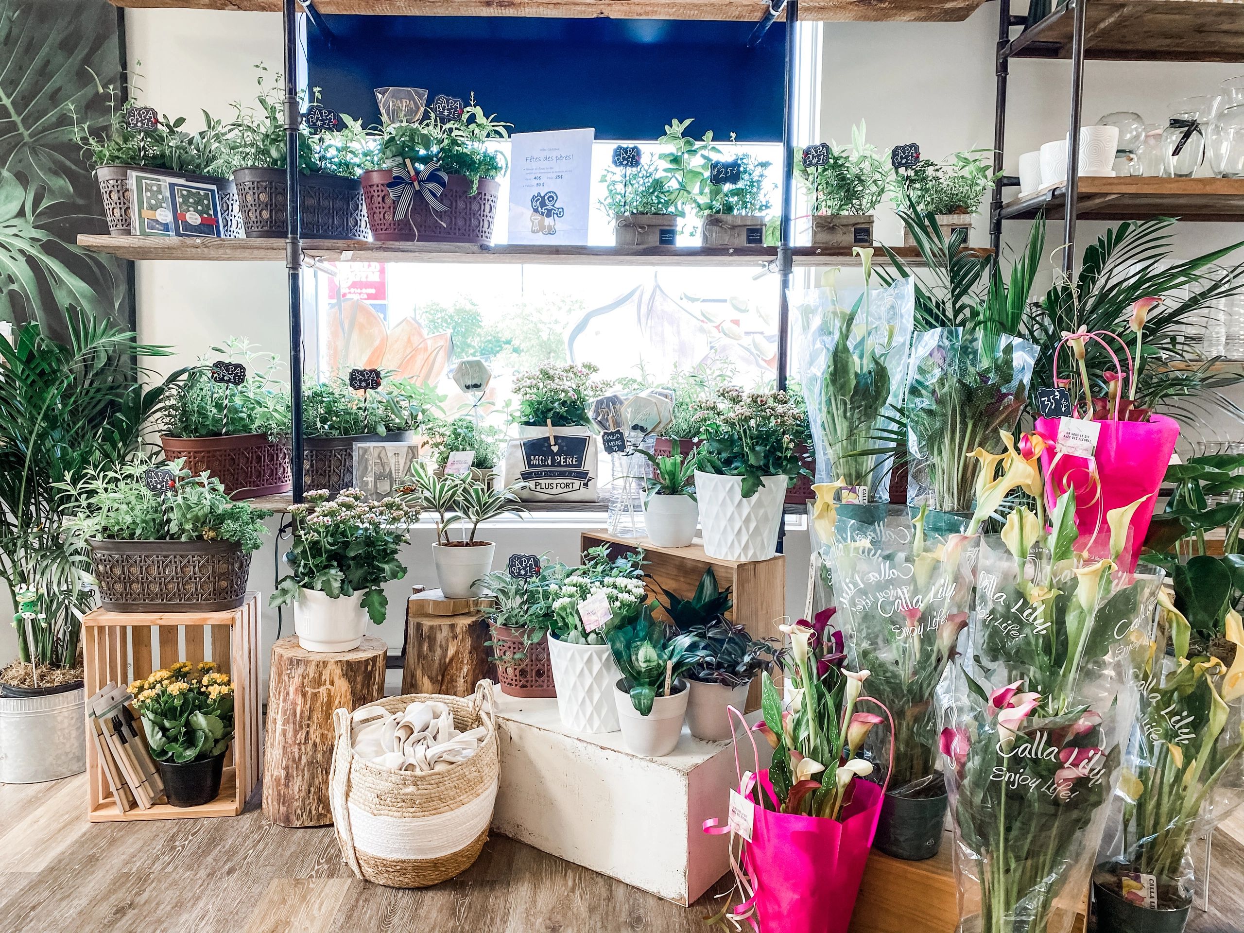 Intérieur de boutique Fleuriste C Design