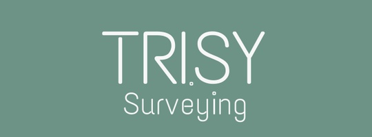 TriSy Surveying Ltd
