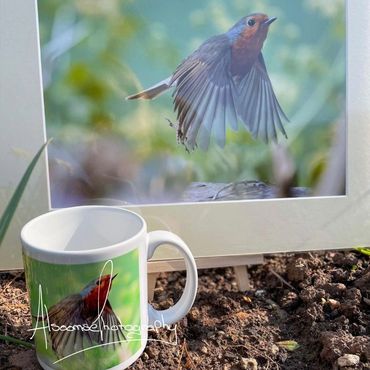 Garden robin in flight on a mug and a mounted print available at Exmoor through the Lens Dunster