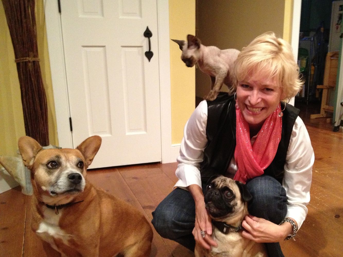 Reining Cats and Dogs professional sitter, Kirsten, pet sitting for dogs and cats.