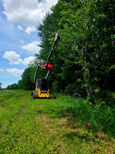 Yellow tracked machine trimming tall trees beside a grassy field.