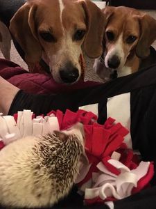 Demi  (retiree) with her new friends!