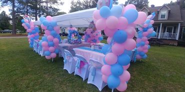 Outdoor Gender Reveal
#elegantlyyoursaffairs
#eyaballoontopia
#eyatenttablechairrentals