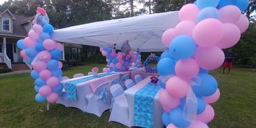 Outdoor Gender Reveal
#elegantlyyoursaffairs
#eyaballoontopia
#eyatenttablechairrentals
