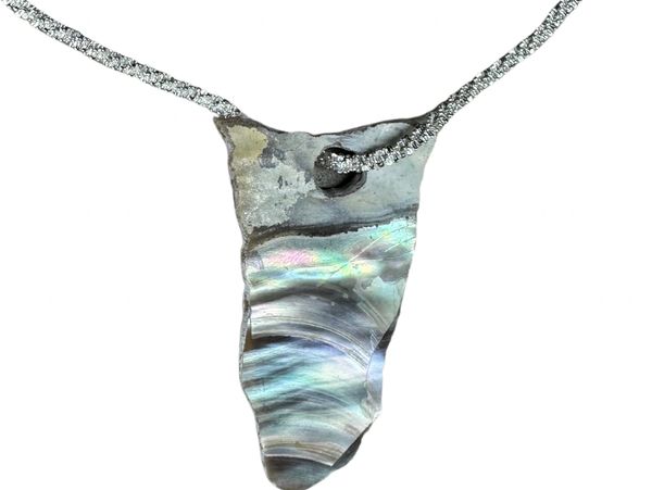Iridescent abalone shell pendant on a silver chain necklace.