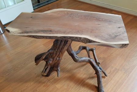 Coffee Table: Walnut Slab with Texas Persimmon base