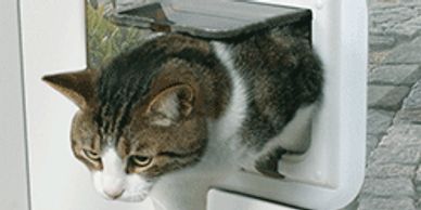 Cat flaps supplied and installed in Berkhamsted. Cassidy Glazing And Locks.