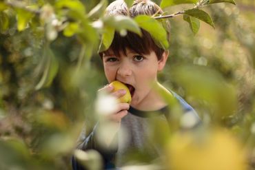Palouse hills family photo (portrait photographer Whittney Thornton Moscow Idaho Pullman Washington)