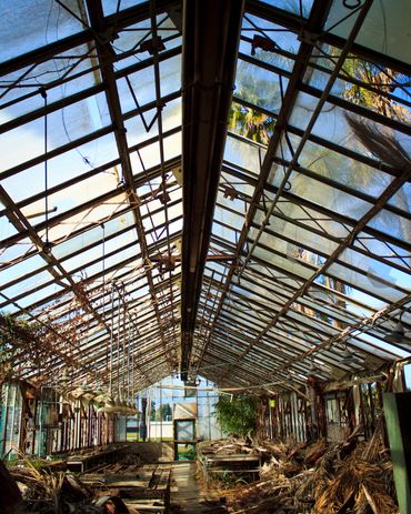 Documentary Photography Whittney Thornton
Pullman, Washington
Exhibited in Santa Monica, 2014