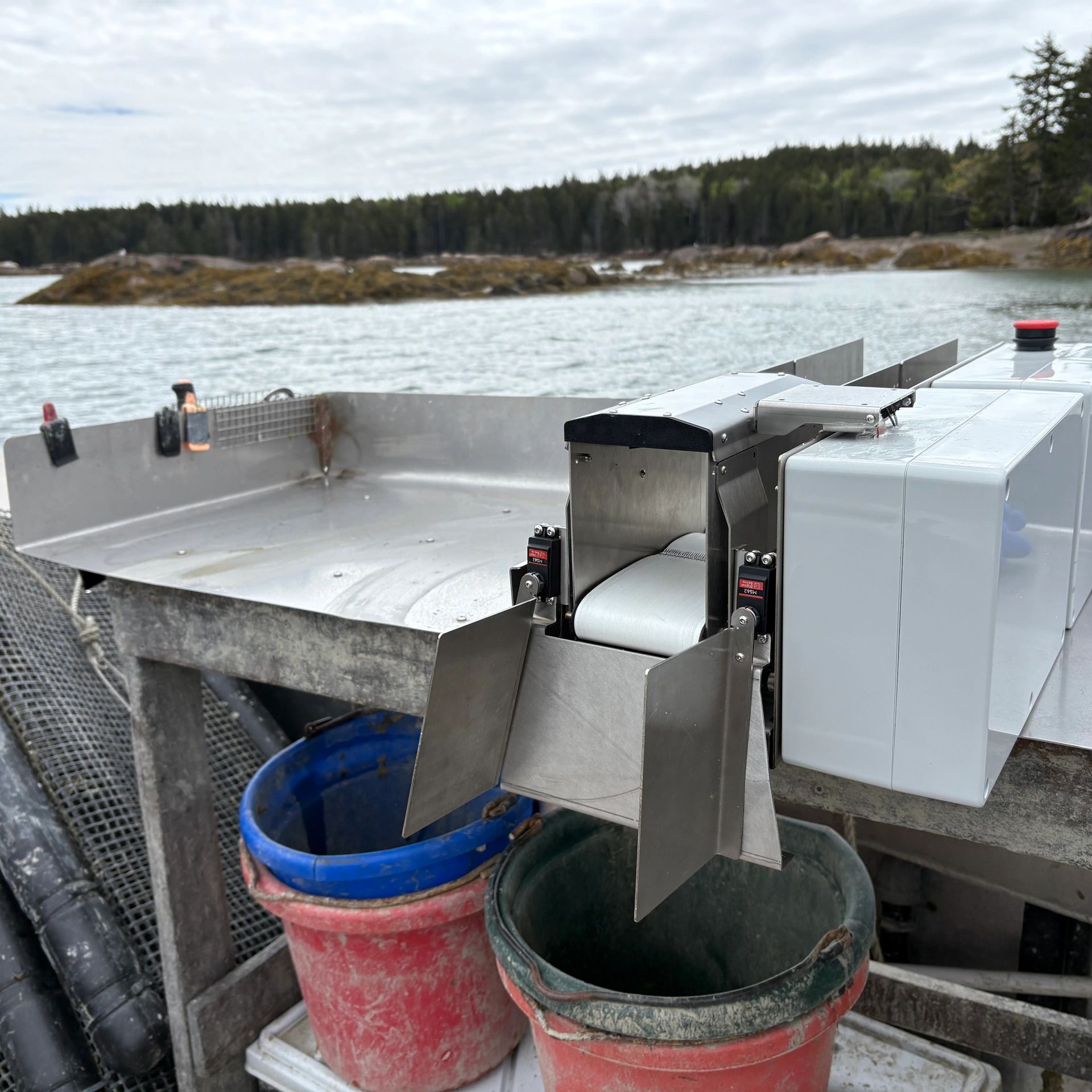 Outdoor fish sorting machine over buckets near water.