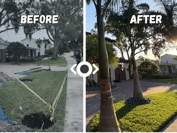 tree removal job before and after image showing a dramatic improvement to a tampa homeowners yard