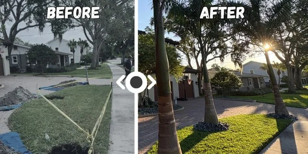 professional tree service in Tampa Florida by Lazzara Outdoors; before and after