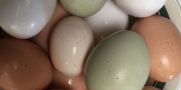 Lori Riley's virtual farm stand grows and sells fresh vegetables, fruit, nuts and eggs for pick up.