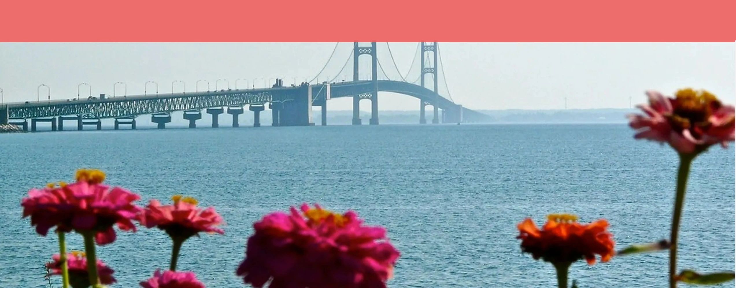 Process Serving Michigan Civil Process Servers MI AGLS Process