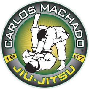 Brazilian Jiu jitsu, Mixed Martial Arts, Kickboxing, Muay Thai, Jr, Kids classes, Personal Training,