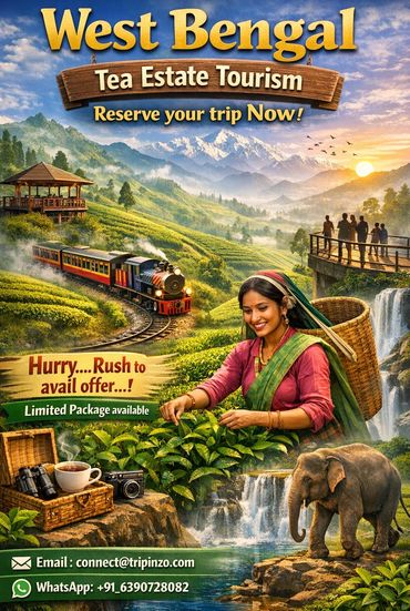 West Bengal tea estate tourism with scenic views, train rides, and cultural experiences.