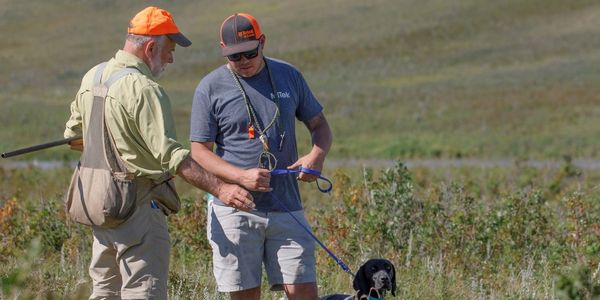 Steve during a NAVHDA testing day where Stella received a perfect score on her utility test