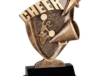 cheer award