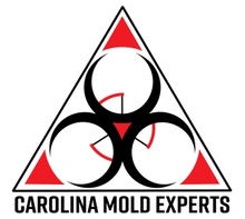 Carolina Mold Experts