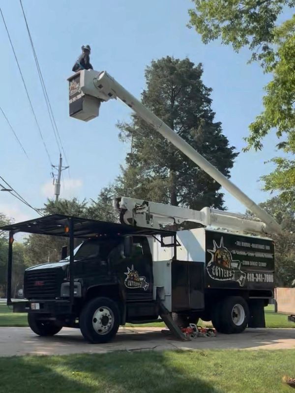 A tree service truck with a worker elevated in a bucket lift.