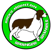 Rocky Mountain Springer Spaniels