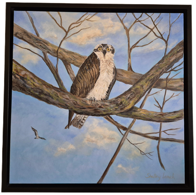 copyright Shelley Leach 2026