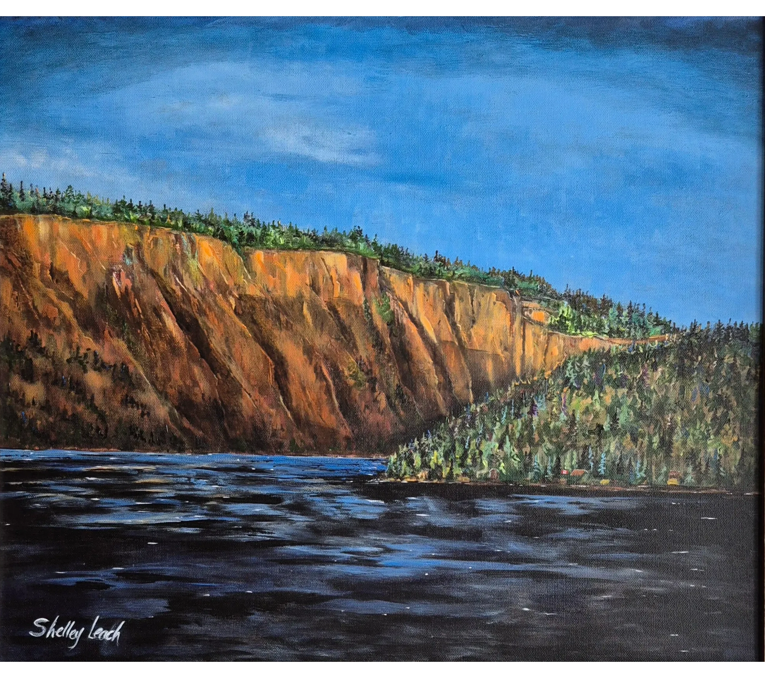 copyright Shelley Leach © 2025