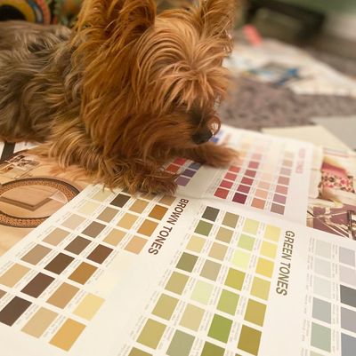 Jazzy Bella home renovations picking out colors for fromwoe2wow vacation rentals with Patty Cole.