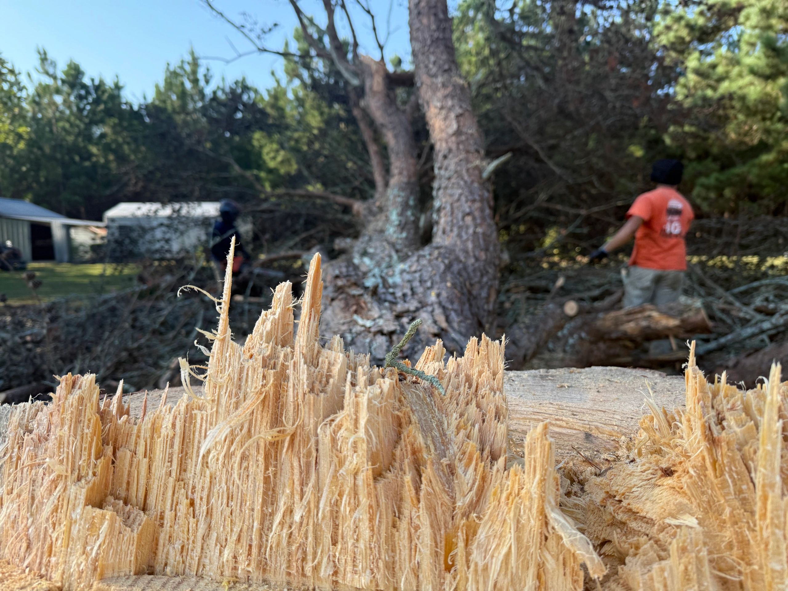 Stack of books next to pencils in a holder and a camera.