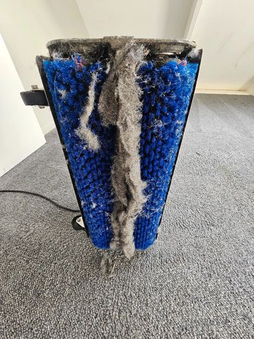 Dusty blue carpet brush roller covered in lint and hair.