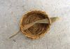 Basket of Gibson grass with wisteria pod