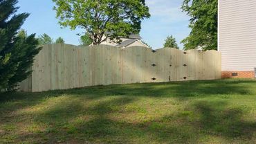 New wooden fence with double gate in a backyard.