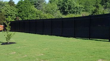 A long black metal fence surrounds a green grassy yard with a small tree.
