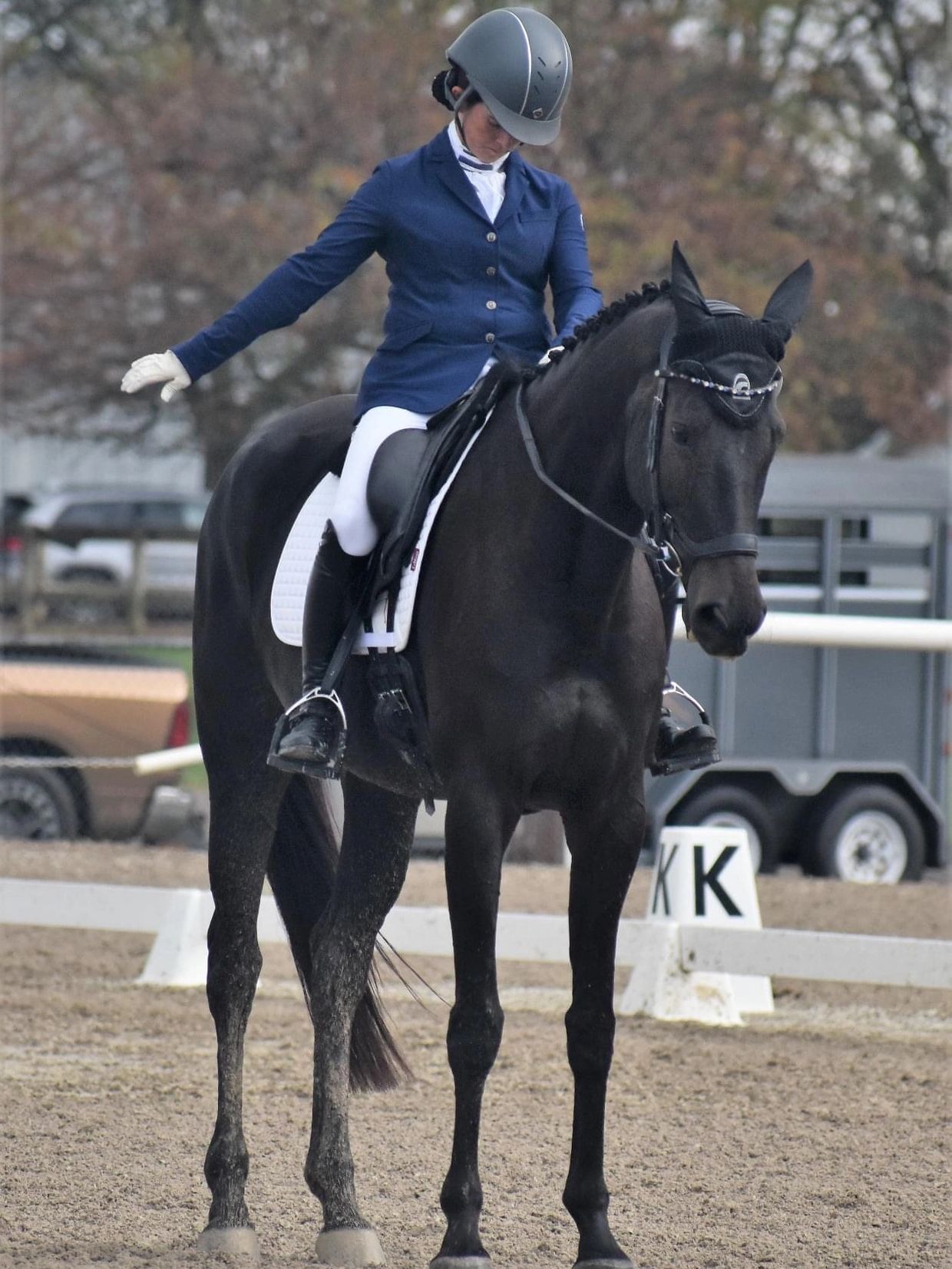 Equestrian rider on a black horse in a riding arena.