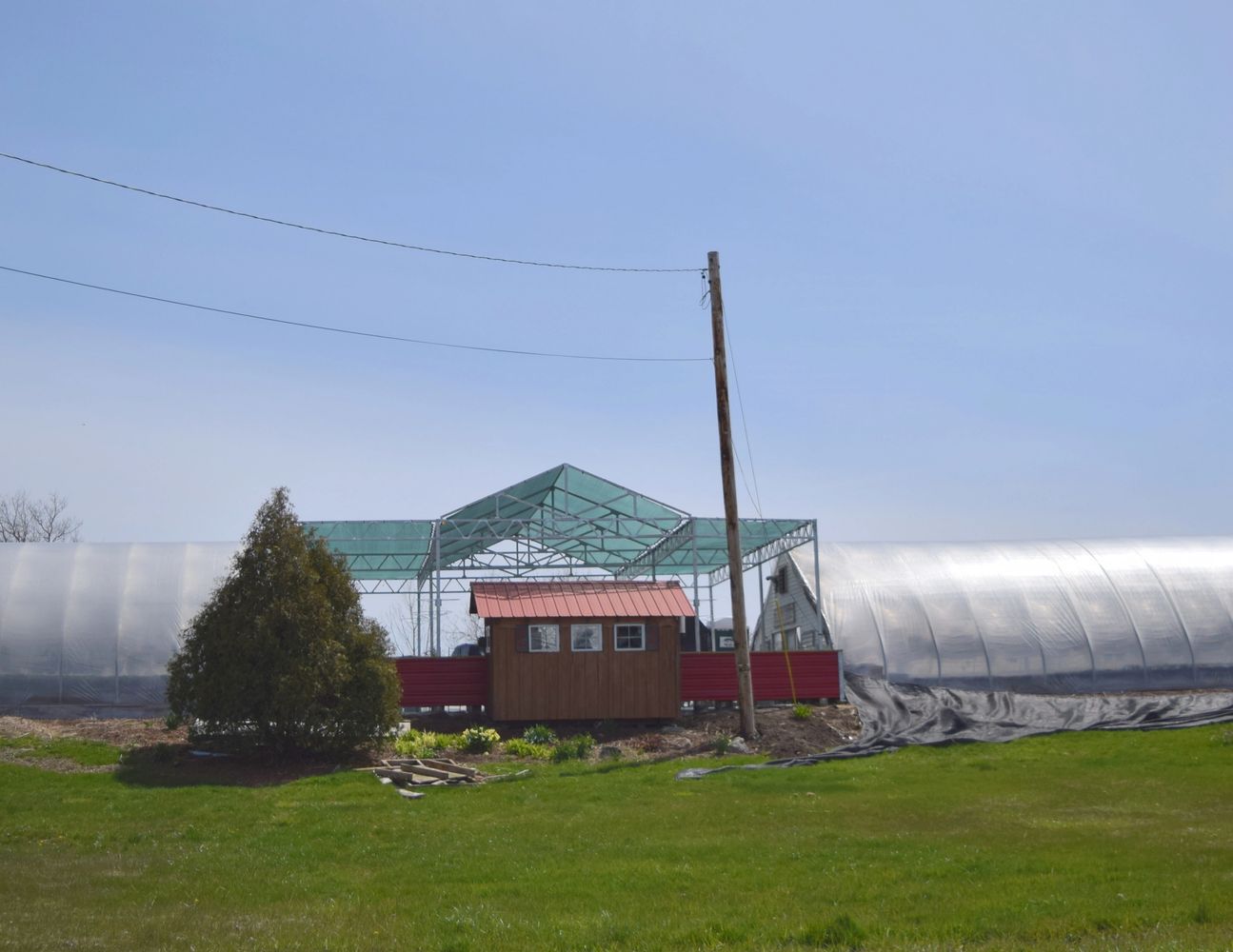 image1